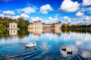 Appartements Suites Rive Gauche - DUPLEX CHARME Fontainebleau : photos des chambres
