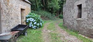 Campings Camping Vieilles Charrues Petit-dejeuner navette et priscine inclus dans le prix proche Carhaix : photos des chambres