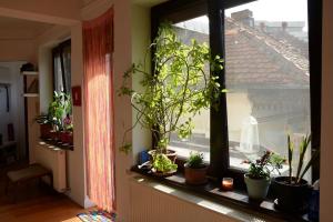 Old Town Bohemian Studio with garden view balcony