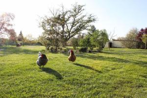 Maisons de vacances Holiday home at the edge of La Seine near Giverny : photos des chambres