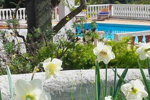 House with private pool in Silves - Pets welcome