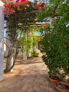 House with private pool in Silves - Pets welcome