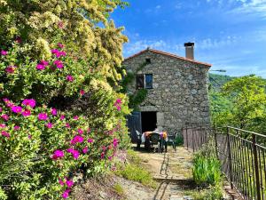 Maison charmante à Valleraugue avec piscine partagée.