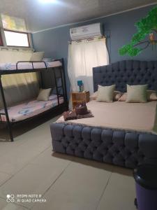 Cabins yafeth osa drake bay