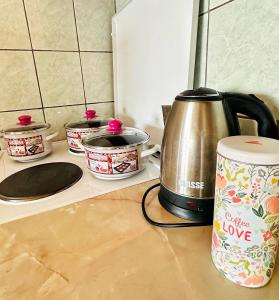 Apartman Milica Vila Roing