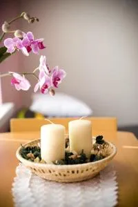 Noclegi na Wzgórzu Zamkowym - 普热梅希尔