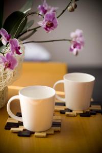 Noclegi na Wzgórzu Zamkowym