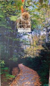 Apartamento Turismo en Ibagué ESMERALDA