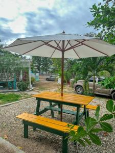 Shades of Summer Apartments in Negril with kitchen