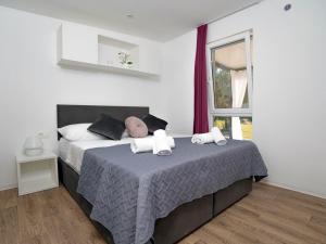 Apartments with parking space Sveti Filip i Jakov, Biograd - 18632