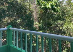 Studio with swimming pool at 12 m height over jungle