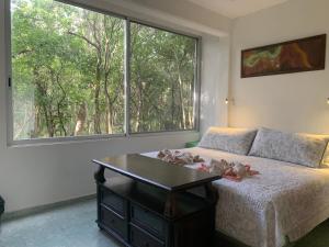 Studio with swimming pool at 12 m height over jungle