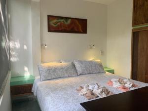 Studio with swimming pool at 12 m height over jungle