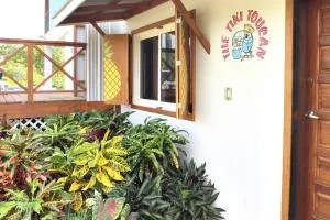 The Tiki Toucan Tropical Suite + Private Pool - Hatchet Cay
