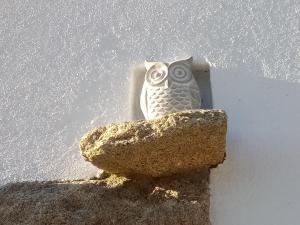 Maisons de vacances Ty melie : photos des chambres