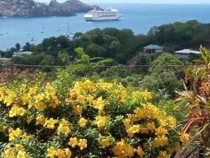 CHEZ ALIZHIA - Vaitu