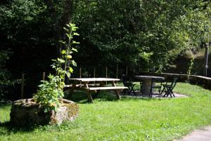 Appartements Gite de France a Soudeilles epis - Gite de France 574 : photos des chambres