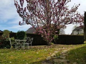 Appartements Gite de France a Albussac 3 epis - Gite de France 2 personnes 614 : photos des chambres
