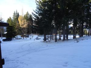 Résidence Lauzieres - Studio 5 personnes skis aux pieds et proche des commerces dans le village du Charvet à Arc 1800 MAE-1762