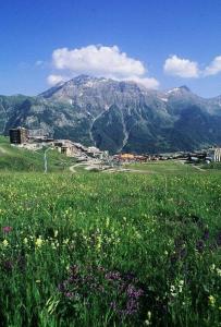 Résidence Rond-point-pistes I - Maxi studio 6 pers. N°73 au rond point des pistes MAE-7384