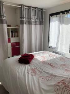 Appartements Belle adresse pour un sejour detente et decouverte : photos des chambres