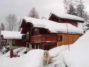 Beau chalet au départ des pistes - 6 Pièces 12 personnes MAE-4869 - 蒙塔尔贝特