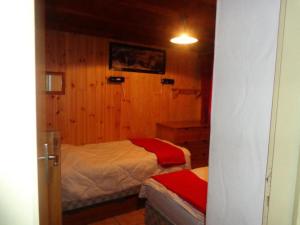 Beau chalet au départ des pistes - Chalet 6 pièces 10 personnes MAE-4869