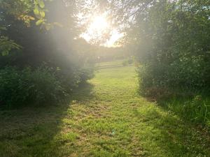 Maisons de vacances The Glade Bell tent : photos des chambres