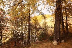 Résidence Le Pouzenc - Studio 6 personnes accès direct aux pistes MAE-2784