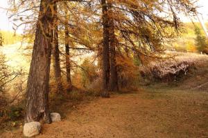 Résidence Le Pouzenc - Studio 6 personnes accès direct aux pistes MAE-2784