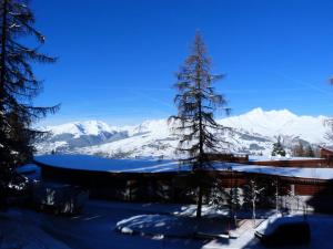 Résidence Aiguille Grive Bat Iii - Appartement 2 pièces 6 personnes en duplex, skis aux pieds, dans le village de Charmettoger à Arc 1800 MAE-2032