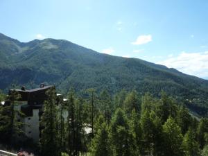 Résidence Le Sunny Snow - 119 LE SUNNY SNOW 1650 MAE-4064