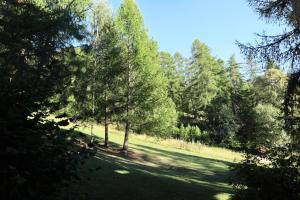 Résidence Le Silhourais - Grand appartement pour 8 personnes : 21 SILHOURAIS MAE-3744