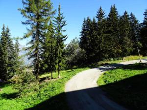Résidence Belles Challes - Studio 4 personnes à Arc 1800 skis aux pieds et proche des commerces dans le village du Charvet MAE-2208
