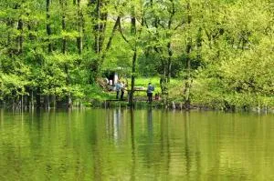 Dom nad Jeziorem Gwiazda - Młodocin