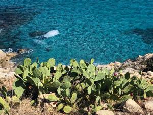 Mazet Les Issambres Ste-Maxime