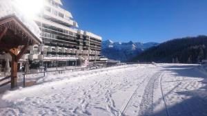 Résidence Valgardena - VG702 - APPT 34 PERSONNES - VUE PISTES MAE-8574