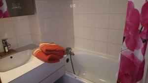 Résidence Souche - La Souche 10 - Agréable 2 pièces, terrasse skis aux pieds MAE-5114