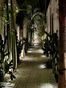 Sulu Villas - Seminyak