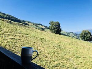 Appartements Residence Camarine - La Camarine 19 - Joli 2 pieces avec mezzanine MAE-4614 : photos des chambres