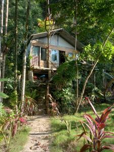 Sumatra Ecolodge