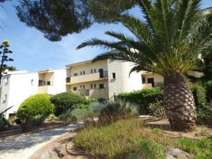 Grand Studio au calme avec PISCINE et à 5 mn à pied de la PLAGE