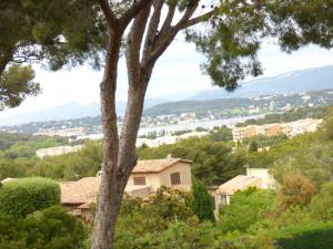 Appartements Residence avec piscine, vue mer, tennis, boulodrome, acces a la plage. : photos des chambres