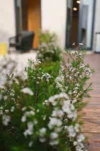 Douro Premium Garden by MP