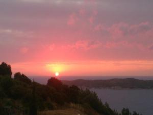 Appartements La Sarra : photos des chambres