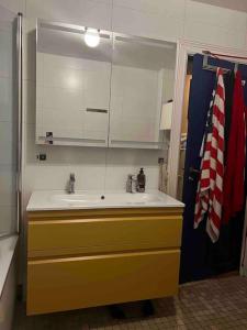 Elegant & Quiet Apartment in Historic House - Prime Location in Oslo West