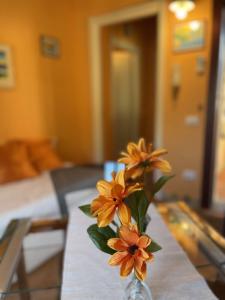 casa ursula a 800 m dal mare img30