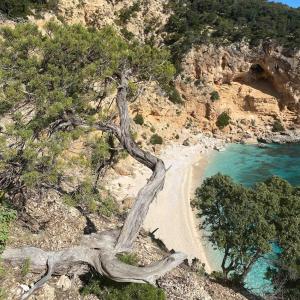 Locanda D'Ogliastra, img87