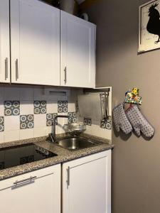 Chalets Du Thabor - 3 pièces 6 personnes dans résidence bien située MAE-5405