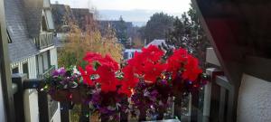 Résidence Les Embruns - maeva Home - Studio 4 personnes - Confort MAE-0126